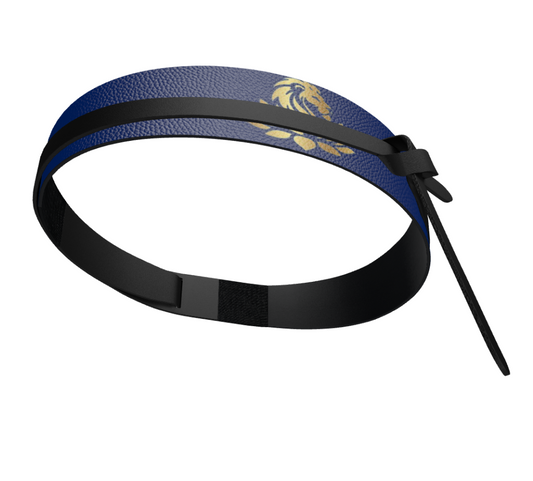 SingularityZ RadiantOrigin RGB | Wrap Belt of Gathered Intention