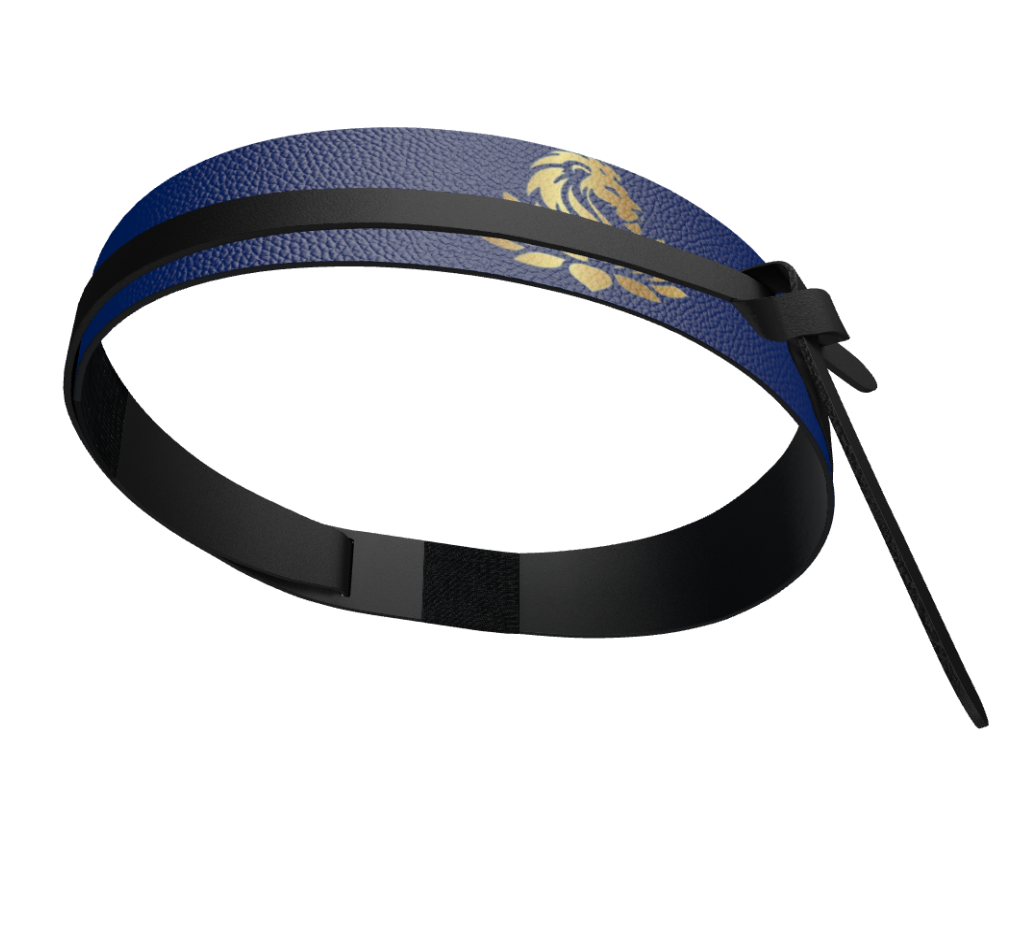 SingularityZ RadiantOrigin RGB | Wrap Belt of Gathered Intention